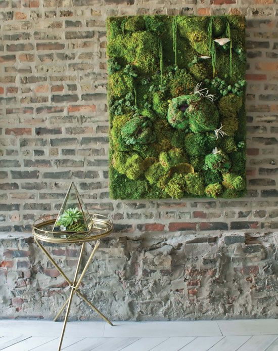 How can you use dried moss to decorate