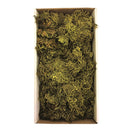 A box containing trays of green Wolf Lichen Moss, intended for use in dried floral arrangements.