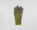 Bulk dried natural Grosso French lavender bunch with blue-purple flowers and green stems.