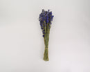 Bundle of dried natural dark blue larkspur flowers tied with twine, wholesale bulk bouquet.
