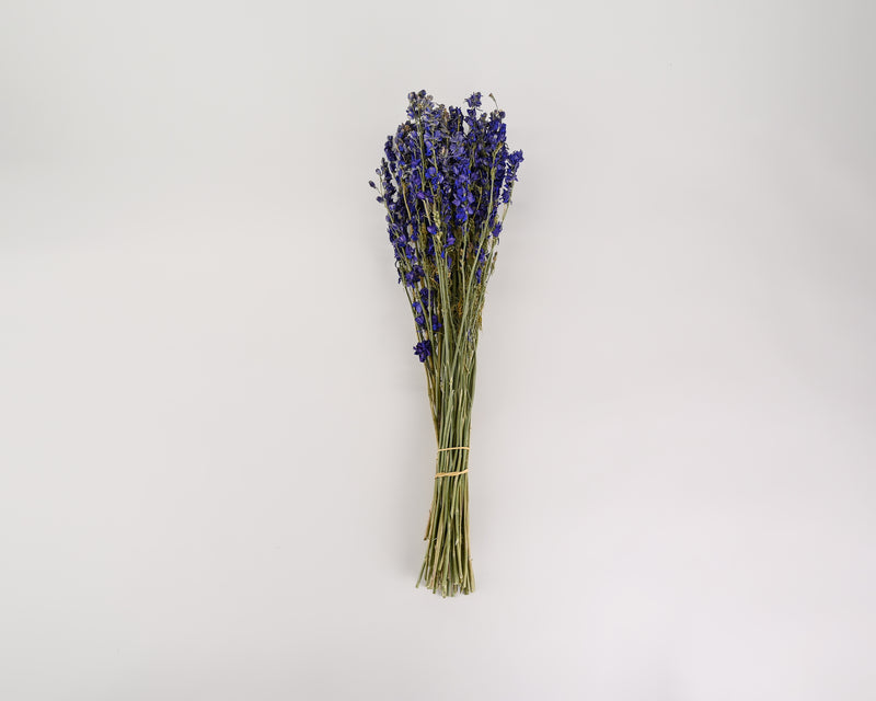 Dried Dark Blue Larkspur Flower For Sale