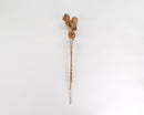 Bulk dried natural Chico Choke pods on long stems in natural brown color.