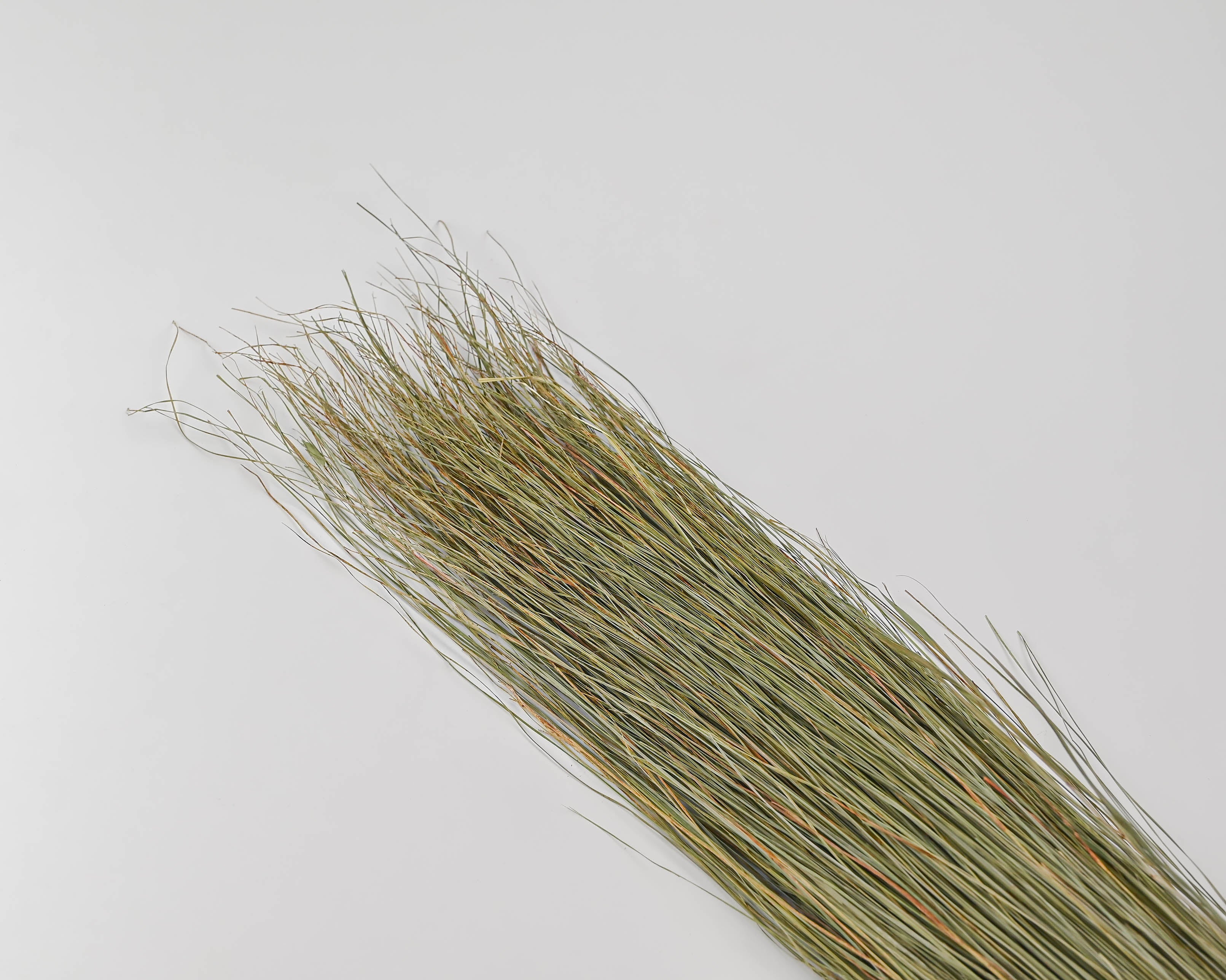 Dried Setaria Grass Wine Color, Dried Flowers, Dyed Grass, Dried