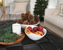 White bowl with dried natural red pomegranates and orange slices on black table, bulk wholesale pinecones and greenery nearby.