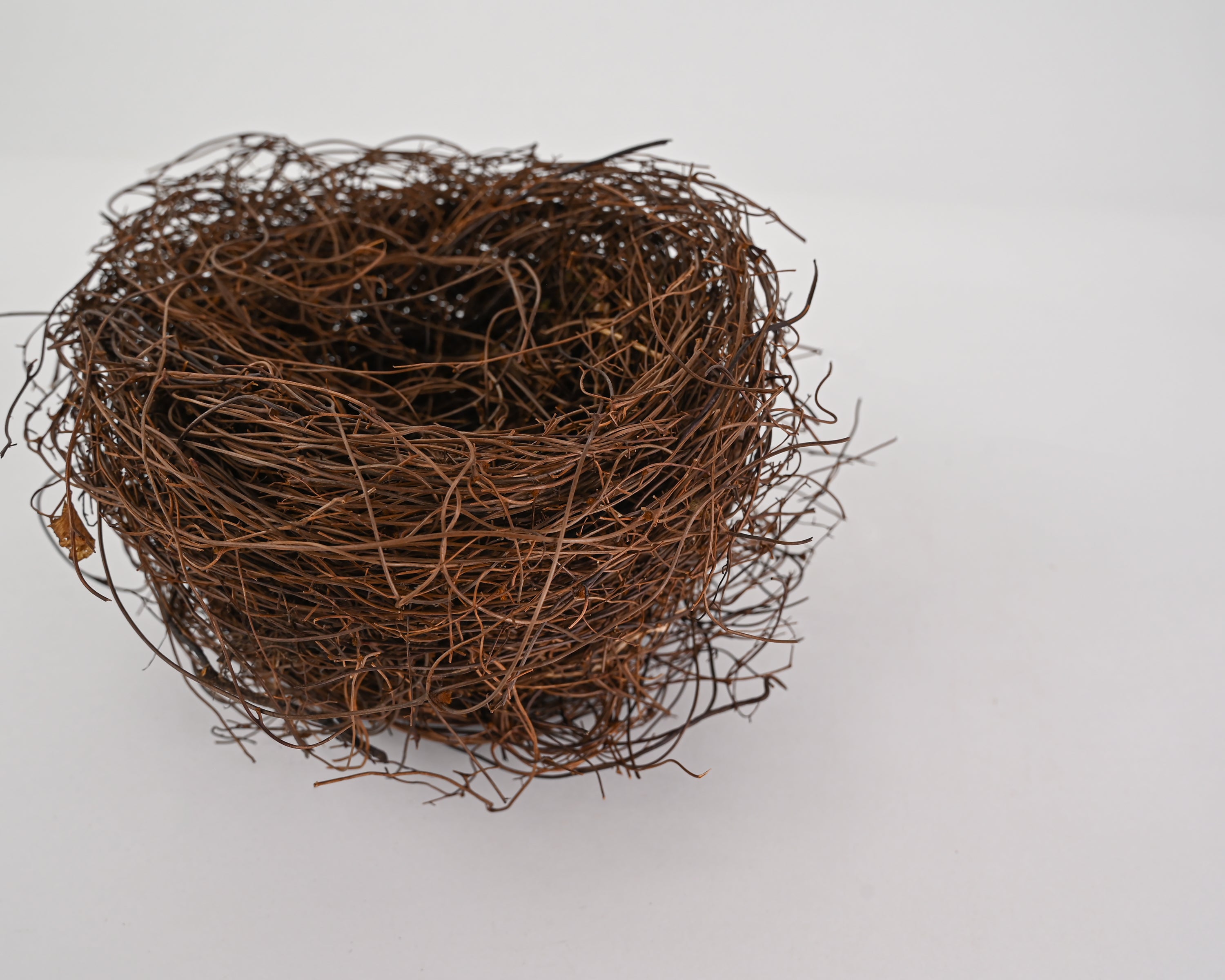 Dried Moss Bird Nests Mini Birds Nests