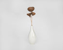 Small dried natural monkey pods on long stems in white ceramic vase, bulk wholesale decor.