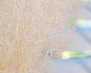 Bulk dried white baby's breath flowers with delicate natural stems in wholesale bunches.