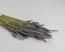 Bundle of natural dried Grosso lavender stems with deep blue flowers, wholesale bulk bunches.