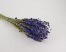Bundle of dried dark blue larkspur flowers with natural stems in bulk wholesale quantity.