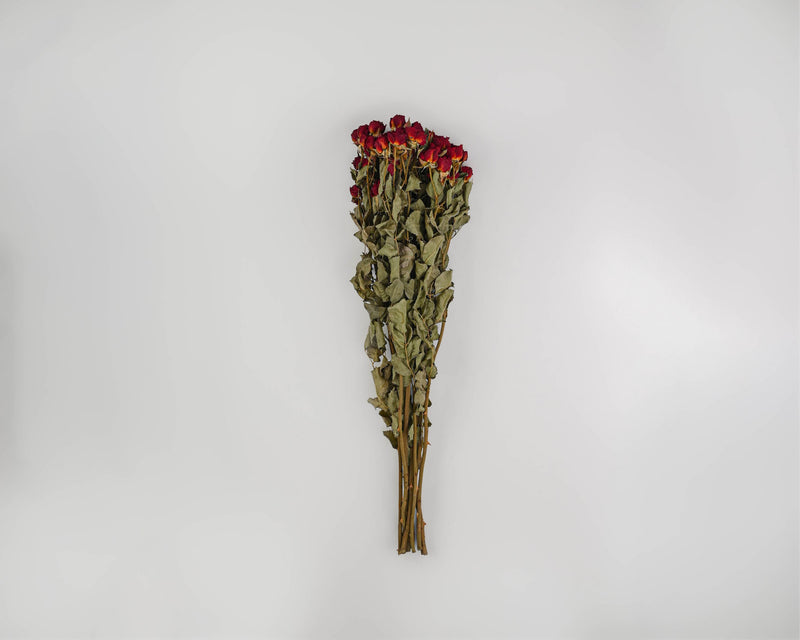 Mini Dried Rose Bouquet - Red