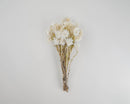Bundle of natural white dried everlasting flowers with stems, perfect for wholesale bulk arrangements.