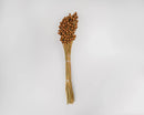 Bundle of dried natural pineapple button flowers in bulk with long stems against white background.