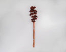Bulk dried yarrow flower bunch in deep red with natural stems against white background.