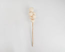 Bleached white dried bell cups on natural stem, wholesale bulk dried plant decor.