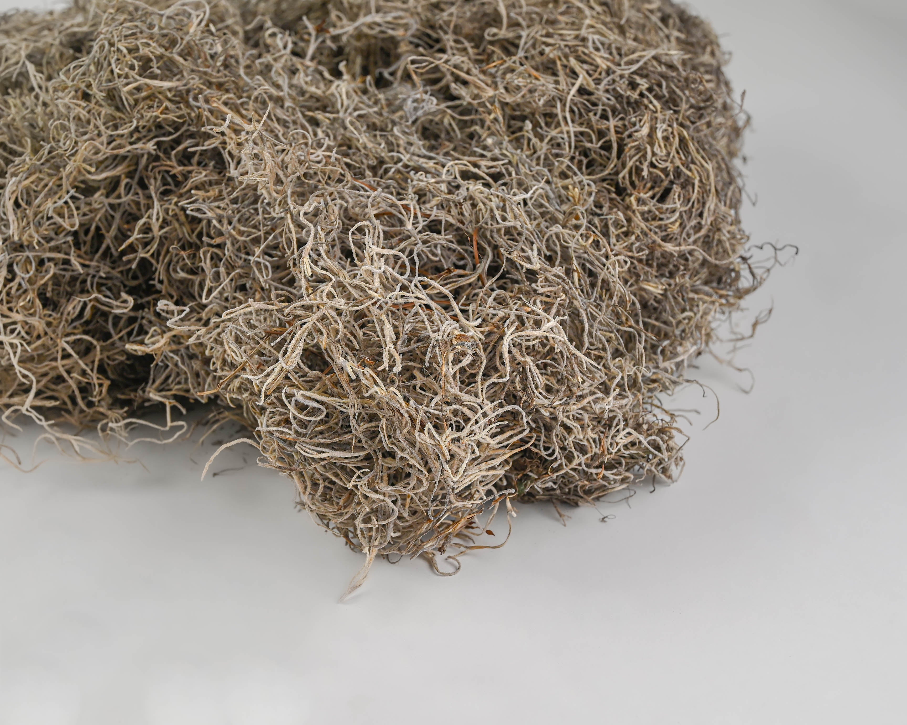Decorative Moss Mat Real Spanish Moss - Wholesale Flowers and Supplies