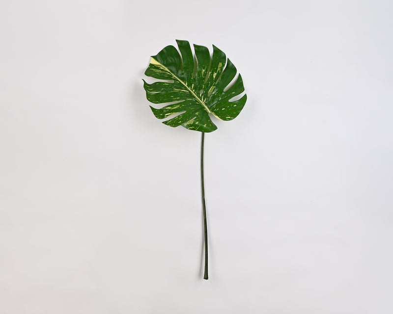 23.5" Philodendron Spray Two Tone Green (12 stems)