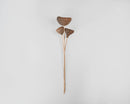 Natural brown dried monkey pods on slender stems, bulk wholesale arrangement.