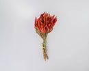 Bundle of dried red chili peppers tied with natural twine, wholesale bulk bunch.