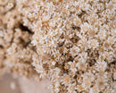 Natural white dried starflower bunches with short stems, ideal for wholesale bulk decor.