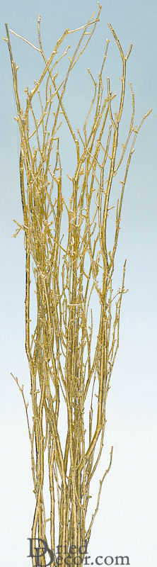 Gold Painted Birch Branches