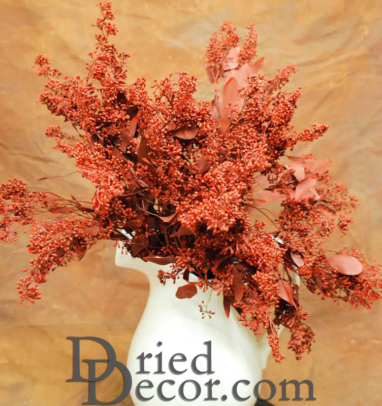 Preserved Seeded Eucalyptus Branches - Colors