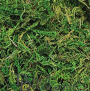 Light green dried natural stone moss in bulk for wholesale use.