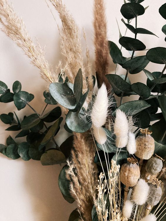 Eucalyptus refreshes and beautifies your home!