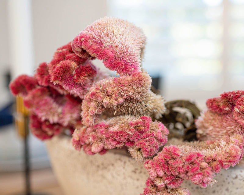 Decor Inspiration for the Spring Season
