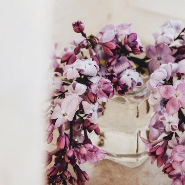 The Perfect Color Palette for a 2023 Spring Wedding