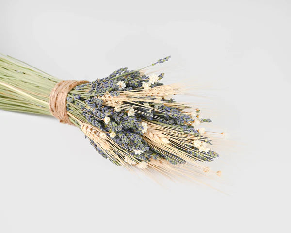 6 Tips on how to take care of dried flowers