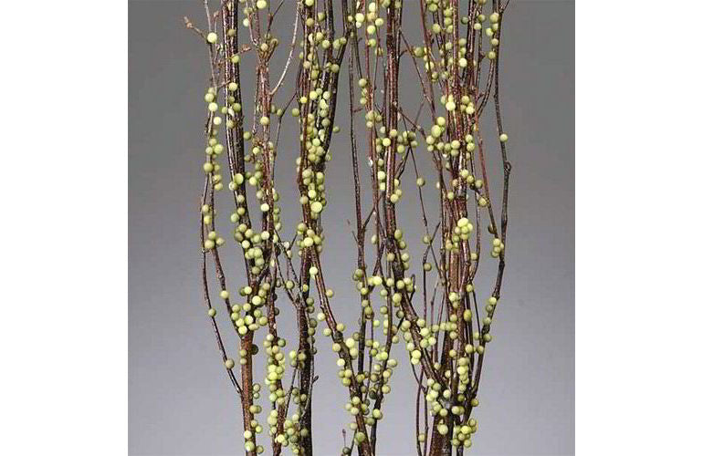 Berry Birch Branches for Spring Decorating
