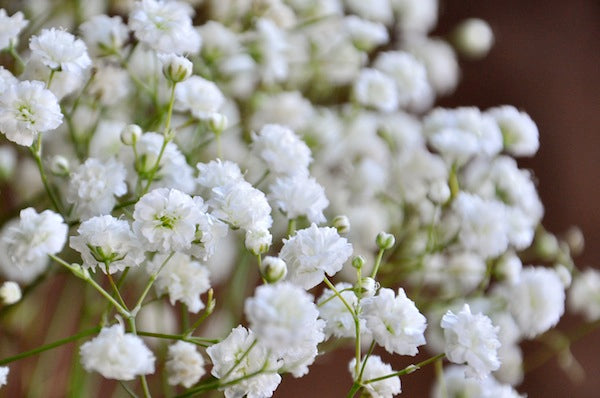 Wedding With Baby's Breath