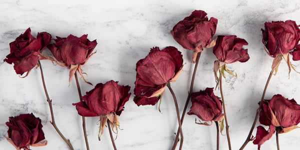 Floral Highlight: Roses