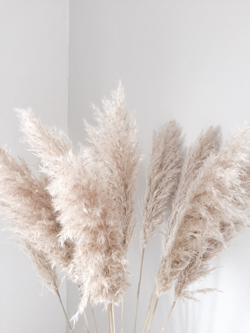 Weddings With Pampas Grass