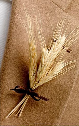 Dried Wheat Boutonnieres