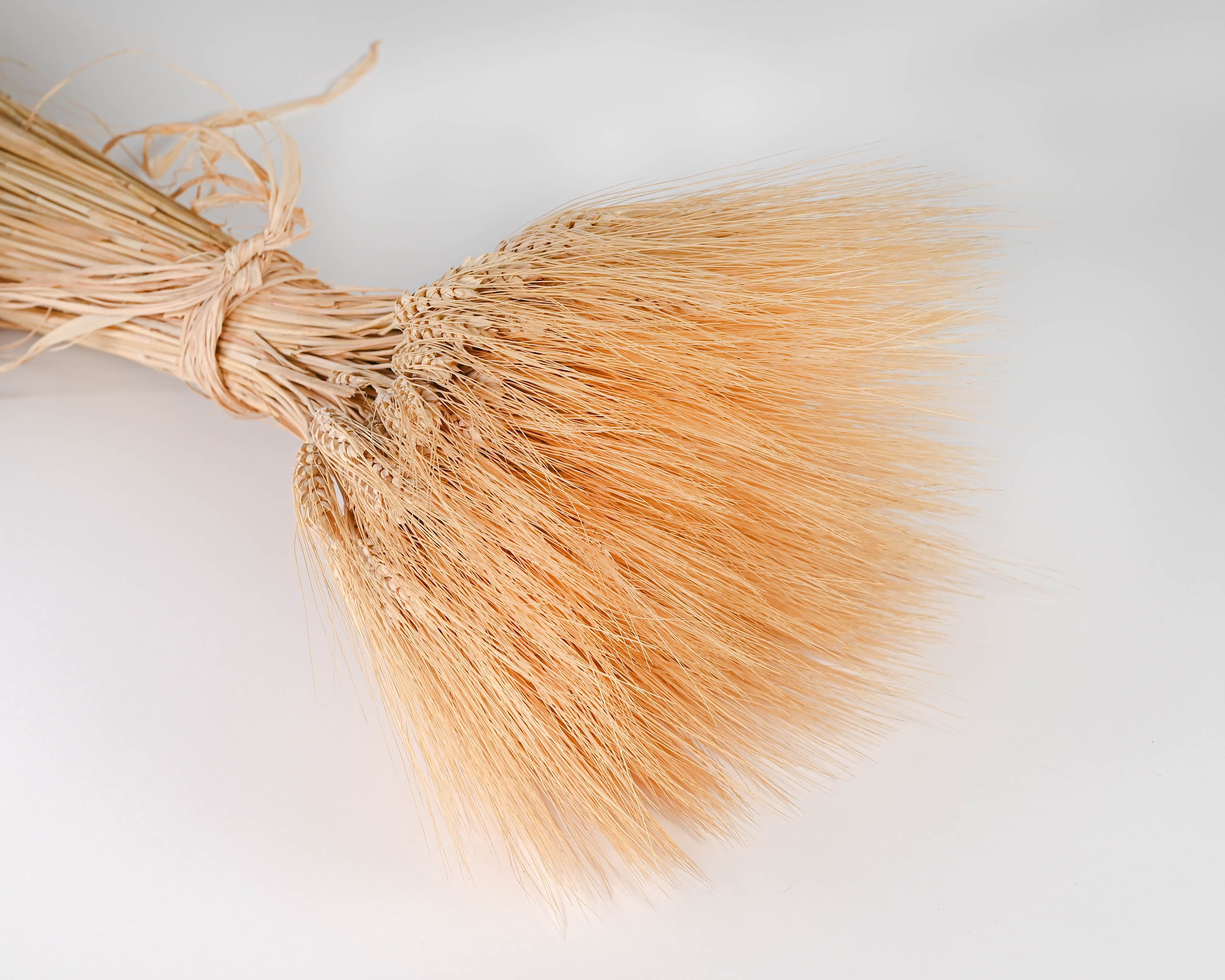 Dried Wheat (Decorative), Wedding Wheat Decorations, Dry Wheat