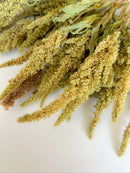 Dried Amaranth Pistachio