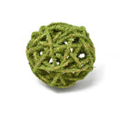 Curly Willow Topiary Ball - Moss coated