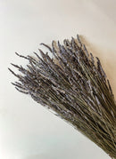 Dried Lavender - French