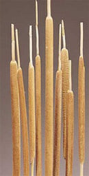 Dried Pencil Cattails | 20 Bunches | Color Options Available