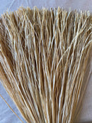 A bundle of natural raffia strips fanned out, with a beige color and a textured appearance.