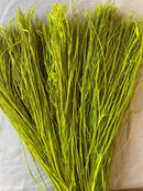 Bulk natural dried raffia bundles in vibrant chartreuse, perfect for wholesale floral supplies.