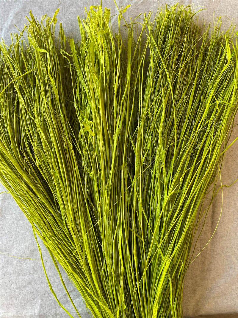 GREENGERS - FICELLES DE JARDINAGE, RAFFIA NATUREL 50 BRINS, RAPHIA JARDIN  50 BRINS, 50G DE FICELLE NATURELLE 