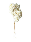 Limelight Hydrangea White | Case Of 12 Bunches