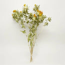 Dried Safflower Bunches | 15 Bunches