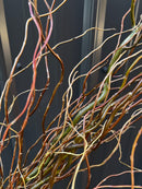 Curly Willow Bunch - Green