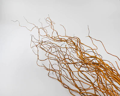 Curly Willow Branches with Pink Peony Dried Flower