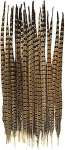 Ringneck Pheasant Feathers 20 inches | 12 Bunches