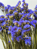 Dried Flowers-Statice Blue