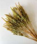 Dried Amaranth Pistachio
